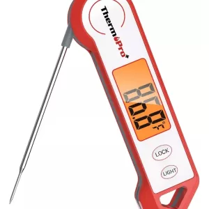 Termômetro Espeto com Haste Giratória - Com certificado!